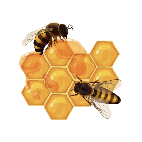 Bees
